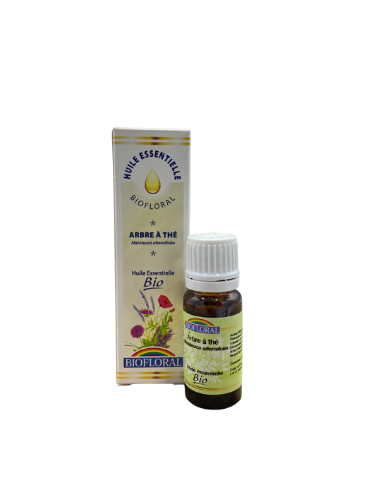 Huile Biofloral Arbre à Thé